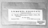 Image Associated With the Occurence